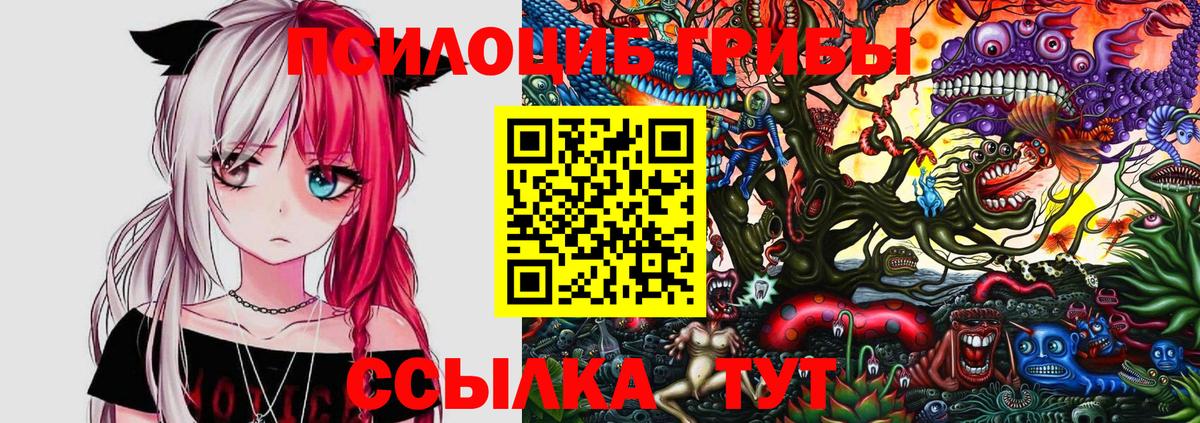 где купить наркоту  Псилоцибиновые грибы Psilocybe  Вход с VPN  Петропавловск-Камчатский 