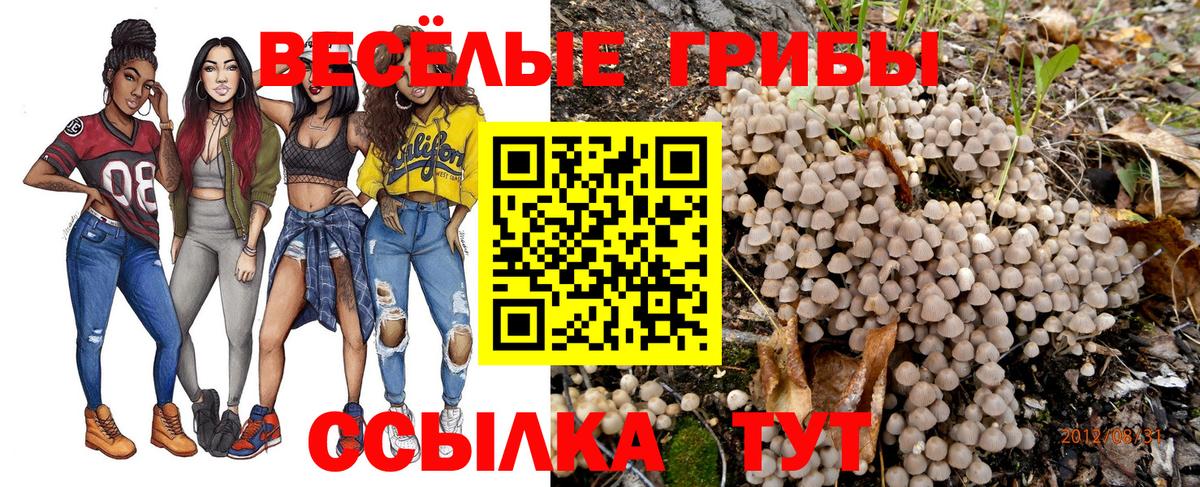 Галлюциногенные грибы мицелий Петропавловск-Камчатский